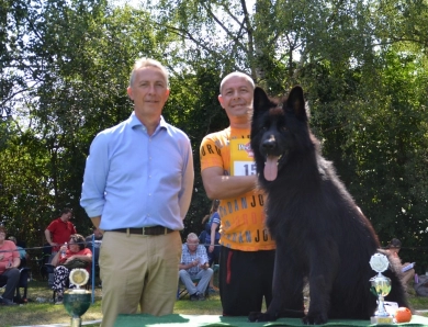 Garry Vom Makibilly German Shepherd