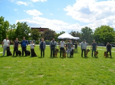 Garry Vom Makibilly German Shepherd