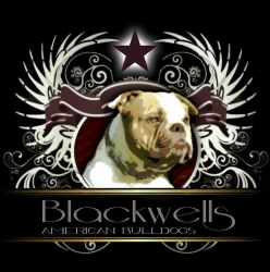 Dog Breeder: Amy Blackwell (803)