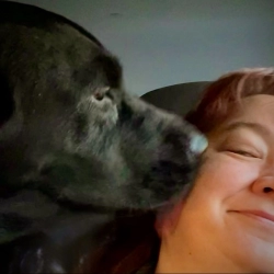 Dog Breeder: Amy McEntire (442)