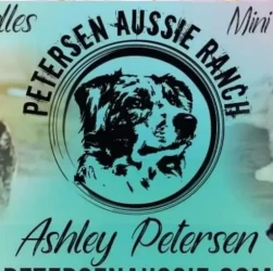 Dog Breeder: Ashley Petersen (1168)