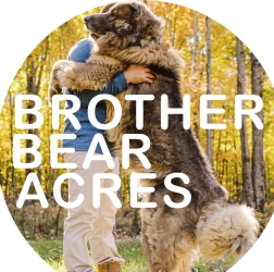 Dog Breeder: Brotherbear Acres (1471)