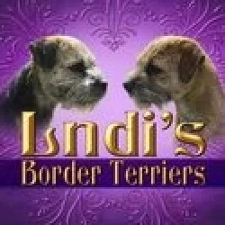 Dog Breeder: Cindy (662)