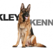 Dog Breeder: DAVID OAKLEY (172)