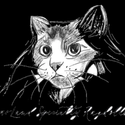Cat Breeder: Dorna Balcazar (1456)