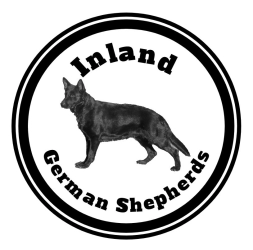 Dog Breeder: Inland GSD (1372)