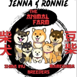 Dog Breeder: Jenna Priest (977)