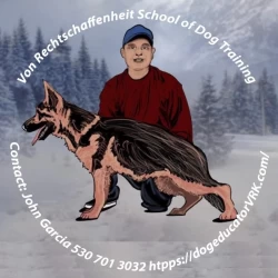 Dog Breeder: John Garcia (743)