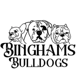 Dog Breeder: Julie Bingham (1060)