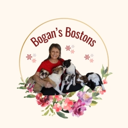 Dog Breeder: Kimmie M Bogan (1139)