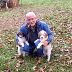 Dog Breeder: Larry Seibel (333)