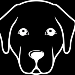 Dog Breeder: Leigh Tocchio (1108)