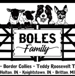 Dog Breeder: Leslie Boles (828)