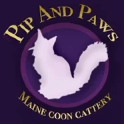 Cat Breeder: Pip Quinn (246)